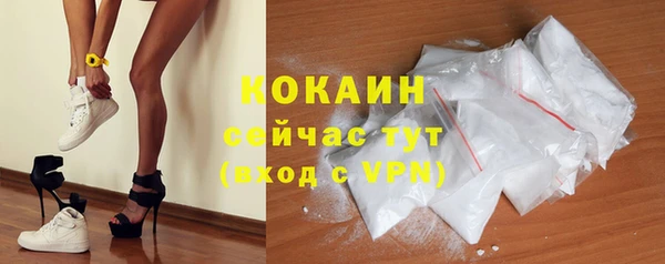прущая мука Вяземский