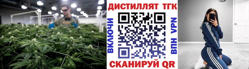 Купить  Костомукша  ТГК гашишное масло 