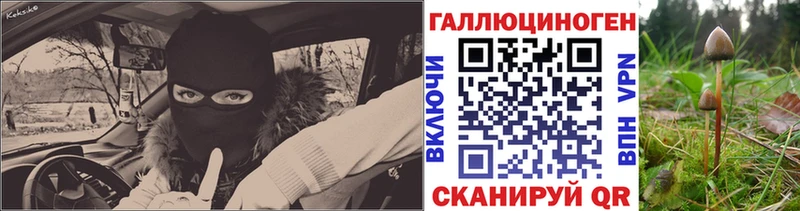 Псилоцибиновые грибы Magic Shrooms Костомукша