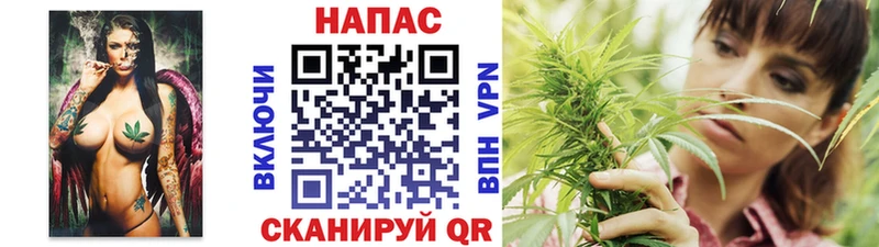 Бошки марихуана OG Kush  Купить  Костомукша 